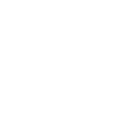 Flask Logo